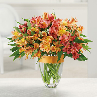 Awesome Alstroemeria